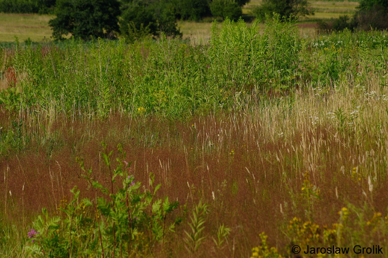 CRW_5566