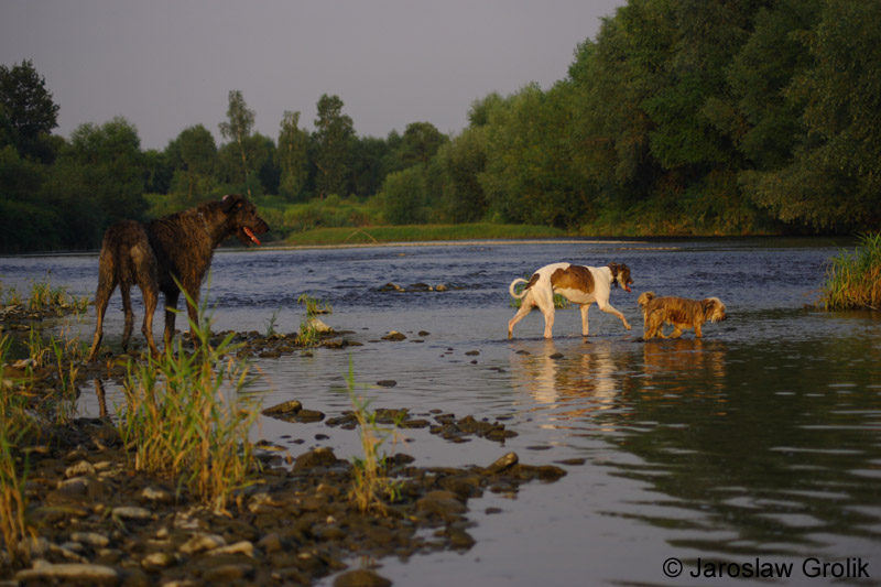 CRW_6030
