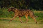 CRW_6086