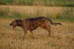 CRW_6115