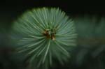 CRW_6150