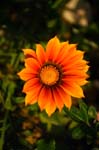 CRW_6178