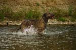 CRW_6199