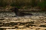 CRW_6207