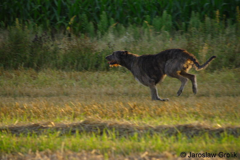 CRW_6659