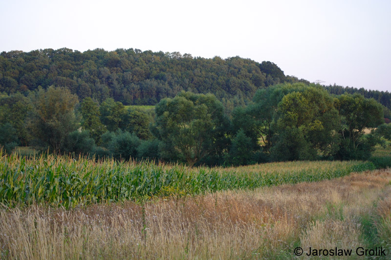 CRW_6684