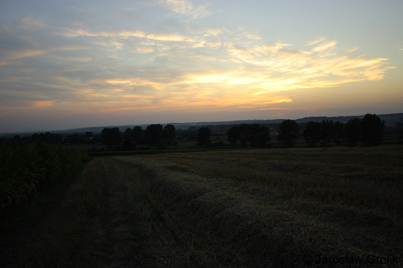 CRW_6704
