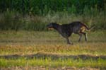 CRW_6659