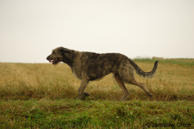 CRW_6920