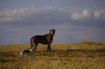 CRW_6771