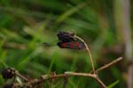 CRW_6777