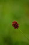 CRW_6986