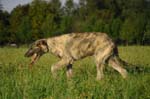 CRW_7197