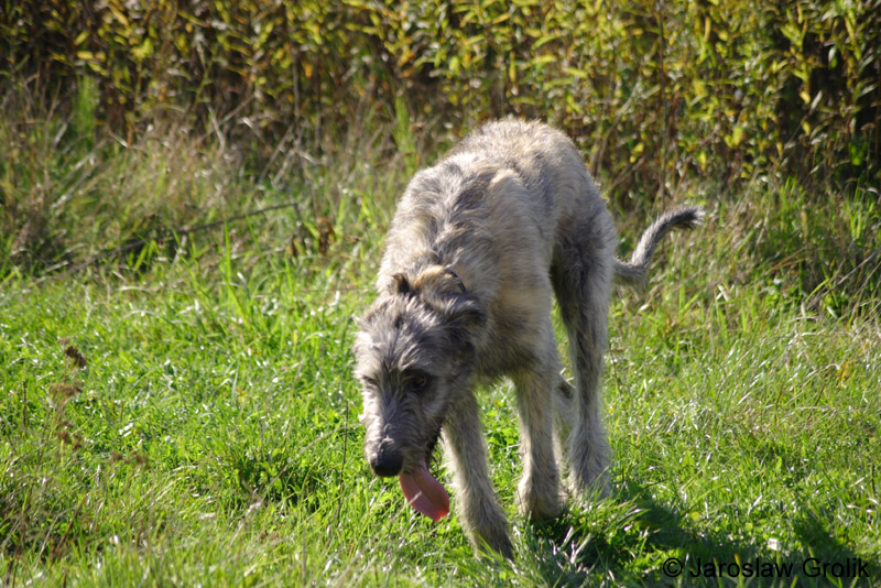 CRW_7691