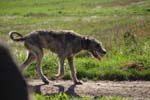 CRW_7670