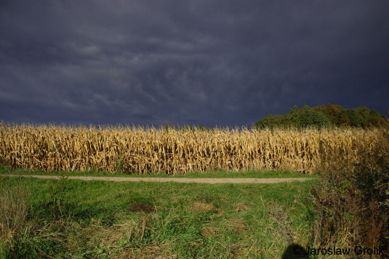 CRW_7772