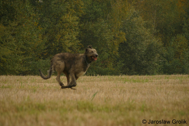 CRW_8385