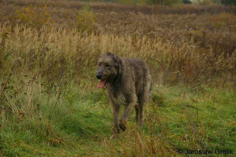 CRW_8405