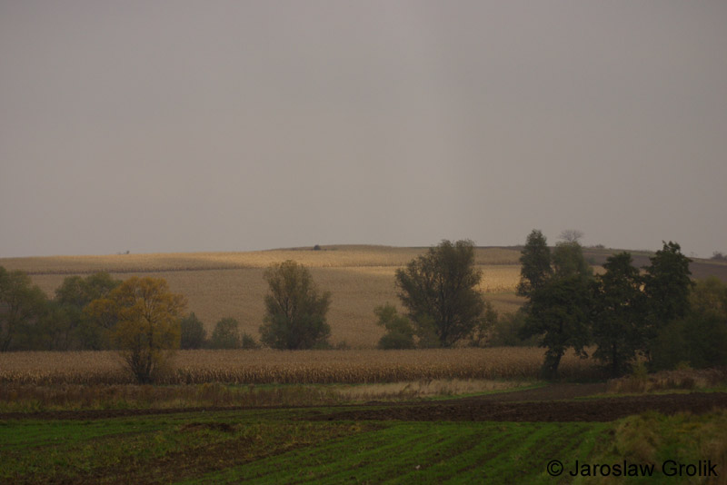 CRW_8419