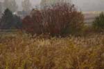 CRW_8416