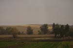 CRW_8419