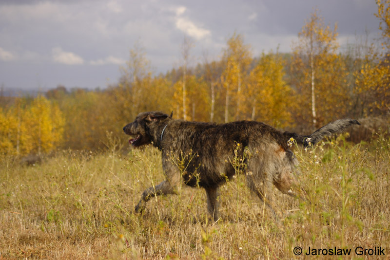 CRW_9595