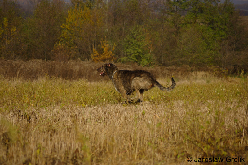 CRW_9598