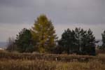CRW_9613