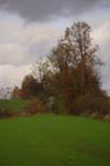 CRW_9618
