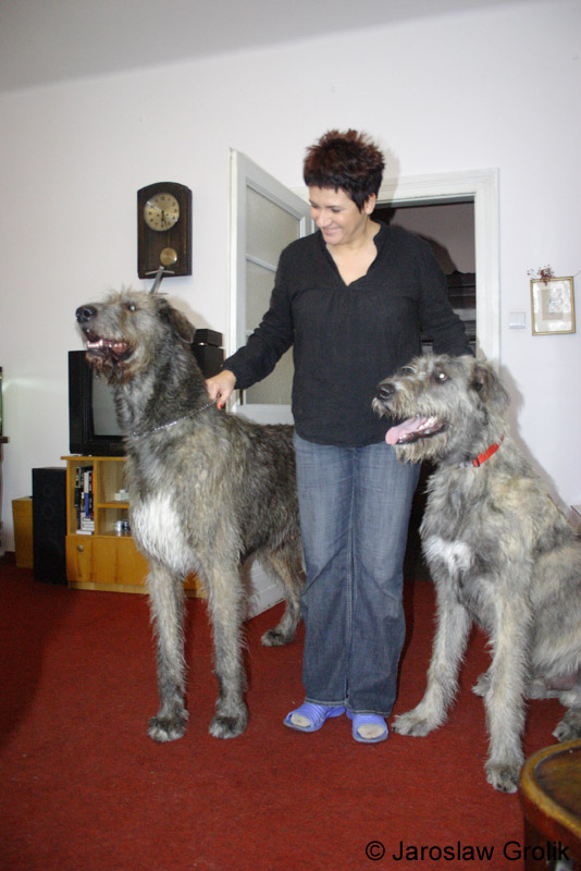 Wilczarz