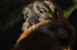 CRW_0023