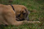 IMG_0368