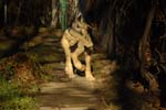 CRW_0427