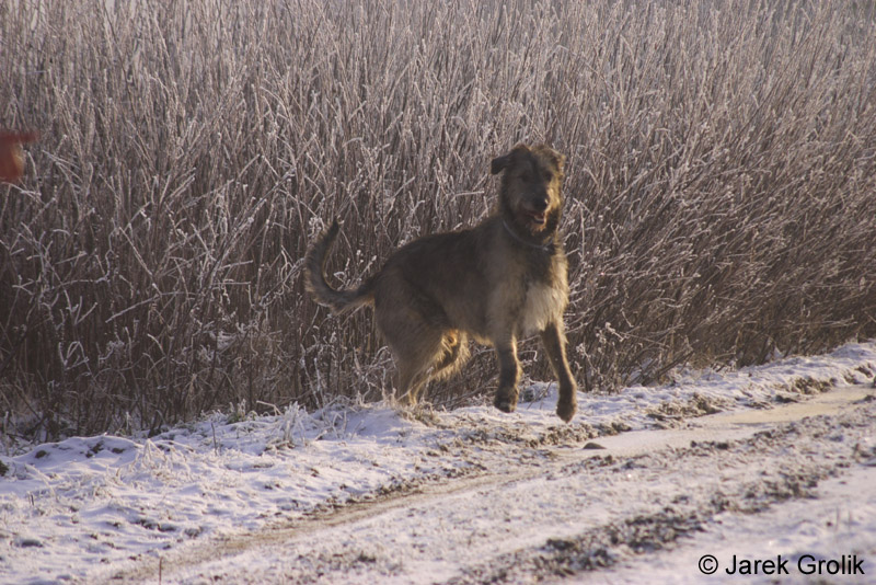 CRW_0611