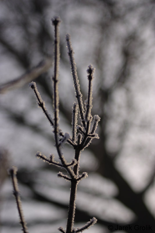 CRW_0628