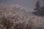 CRW_0601