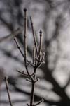 CRW_0628