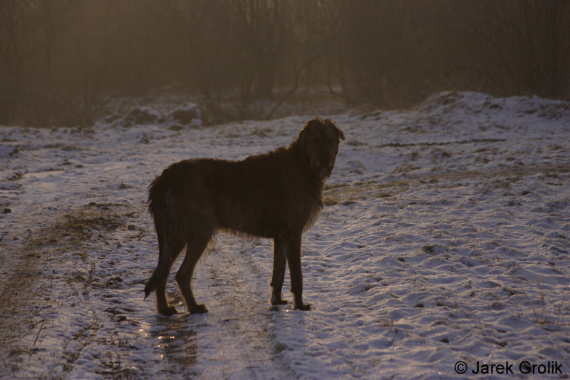 CRW_0797