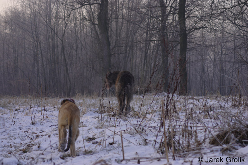 CRW_0810
