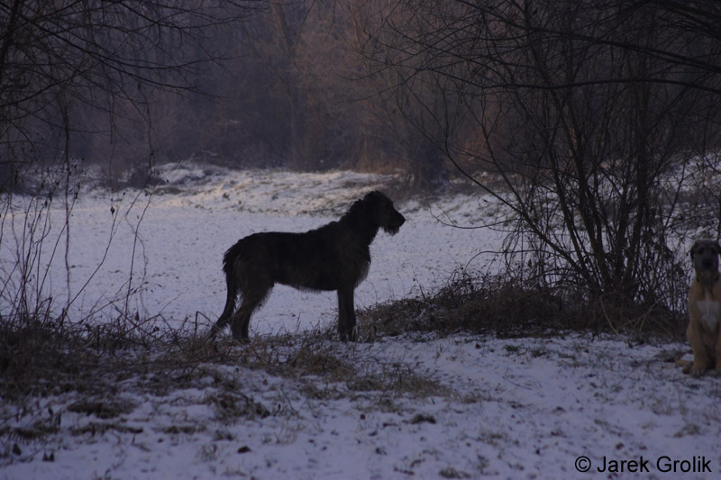 CRW_0827