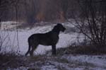 CRW_0825