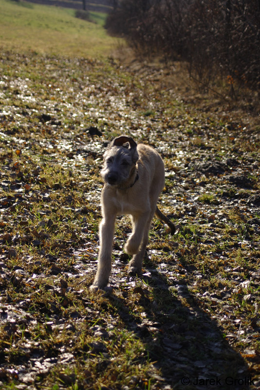 CRW_0910