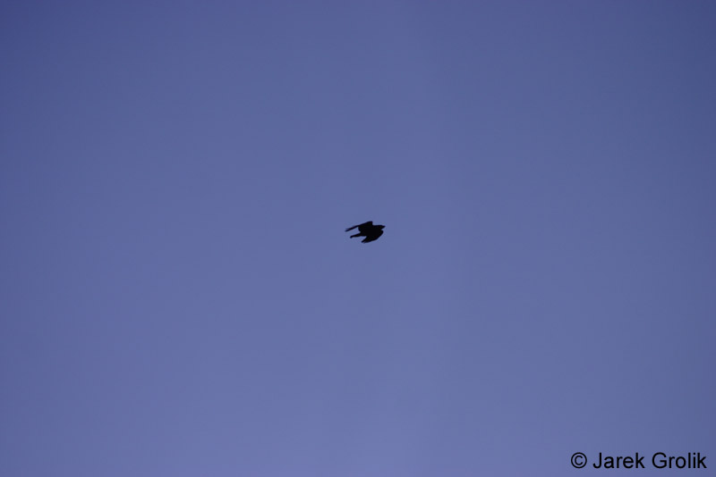 CRW_0914