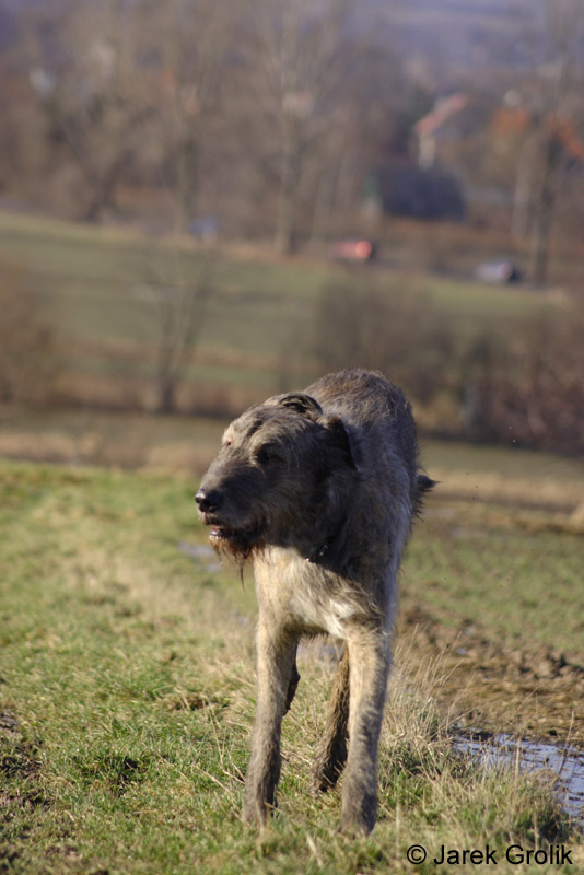 CRW_0951