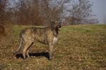 CRW_0907