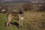 CRW_0935