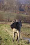 CRW_0951