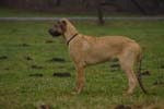 CRW_1022
