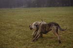 CRW_1023