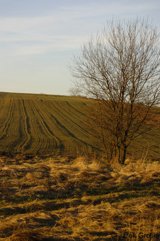 04_other_11